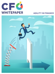 cfo whitepaper